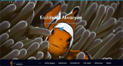 Desktop Screenshot of kizildenizakvaryum.com